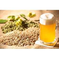 Workshop Cerveja Artesanal