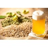 Workshop Cerveja Artesanal