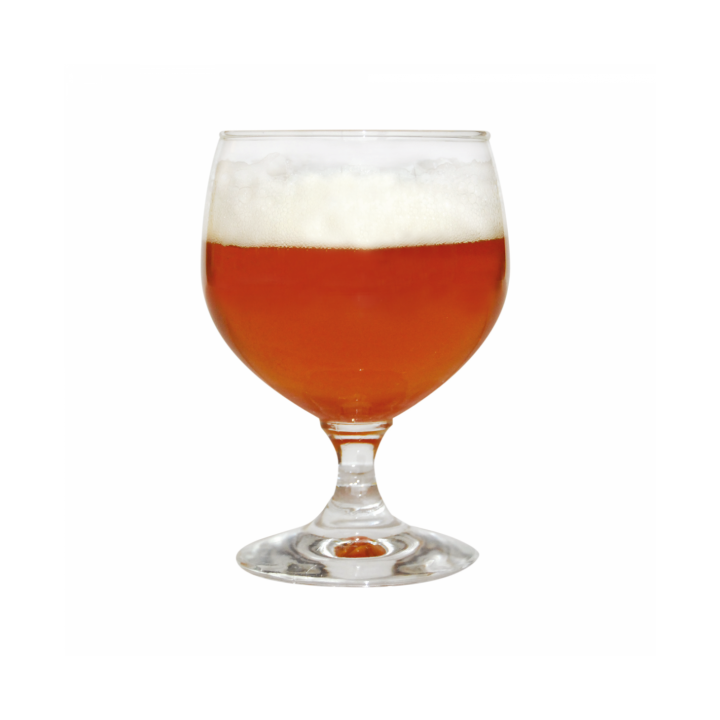 Kit Brewferm English IPA 1.5kg - Faz Cerveja IPA em Casa