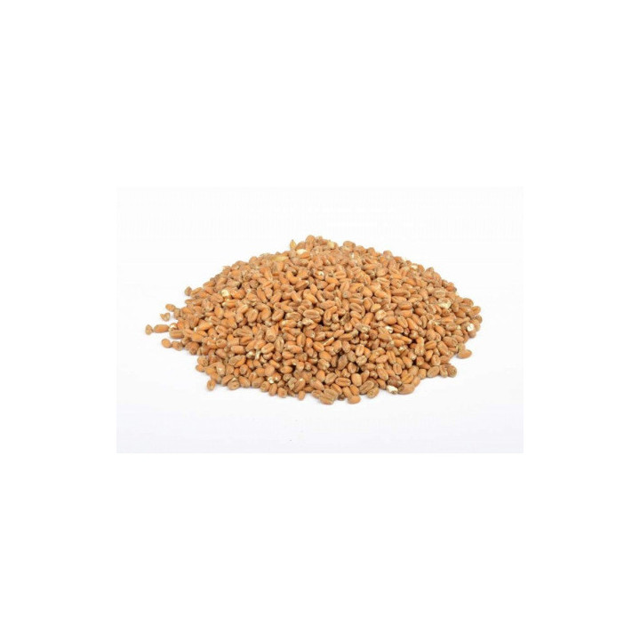 Malte de Trigo Base 1,45€/kg - Saca 25kg Desconto 10%