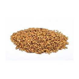 Malte Special B 250-350 EBC - 500g Estilo Belga
