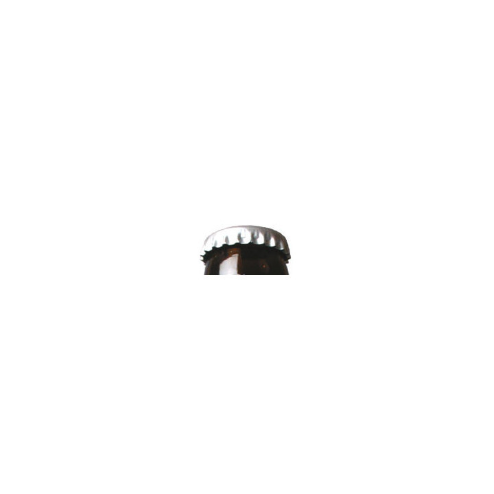 Garrafa Vidro 75cl Castanha com Tampa Flip-Top Mecanica