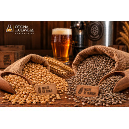 copia de copia de Malte Pale Ale – Malte Base para Cervejas Ale